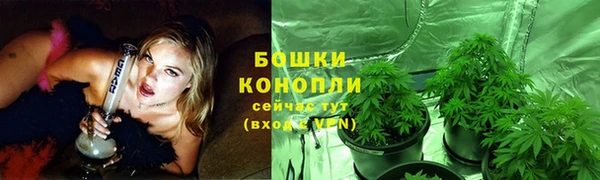 сатива Дмитровск