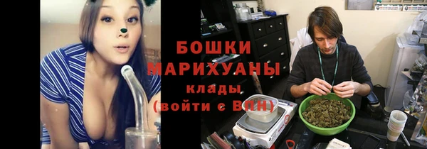 сатива Дмитровск