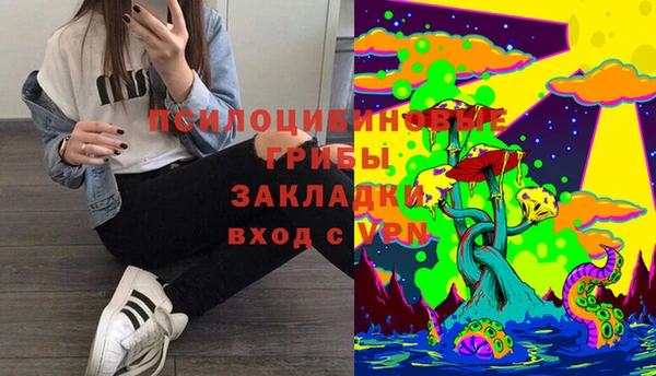 крисы Дмитров