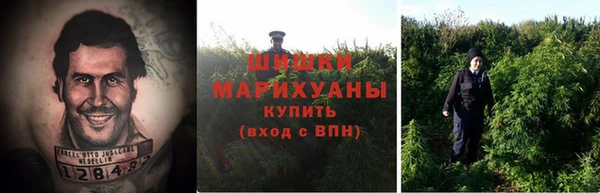 сатива Дмитровск