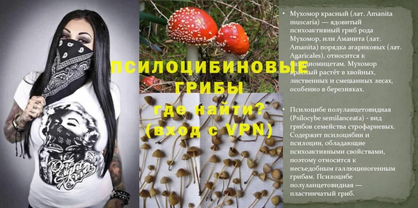 крисы Дмитров