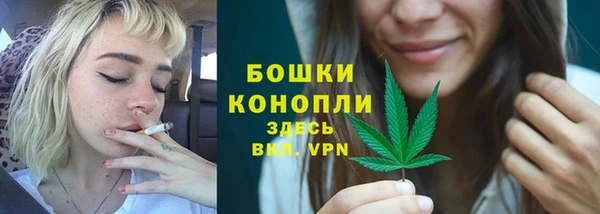 крисы Дмитров
