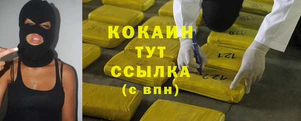 крисы Дмитров