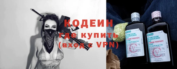 сатива Дмитровск