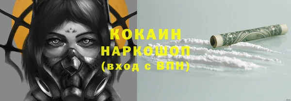 сатива Дмитровск