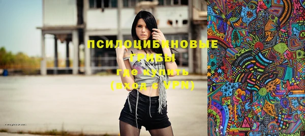 крисы Дмитров