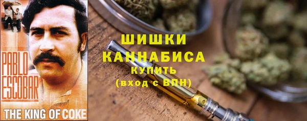 сатива Дмитровск