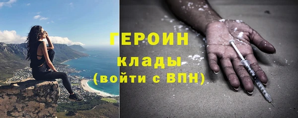 сатива Дмитровск